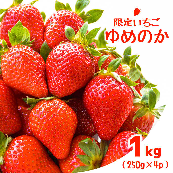 【2026年1月〜発送】【限定いちご】 ゆめのか 1kg（250g×4p）/ いちご イチゴ 苺 フルーツ 果物 くだもの / 南島原市 / 長崎県農産品流通合同会社 [SCB040]