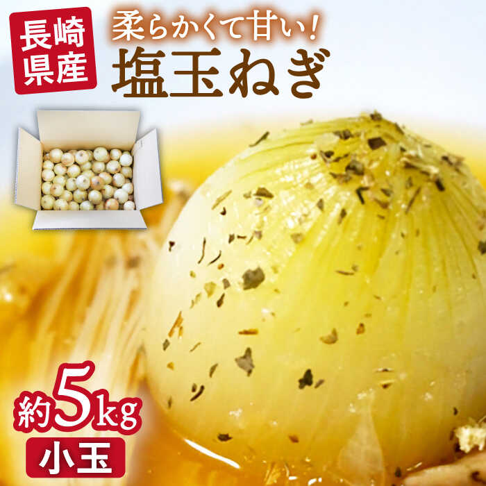 【2026年3月中旬〜発送】【柔らかくて甘い！】塩玉ねぎ 約5kg（小玉）/ 新たまねぎ 新玉ねぎ 新タマネギ 玉ネギ 玉ねぎ たまねぎ タマネギ 野菜 やさい 旬 オニオン スープ ハンバーグ 肉じゃが 約5キロ / 南島原市 / 長崎県農産品流通合同会社 [SCB054]