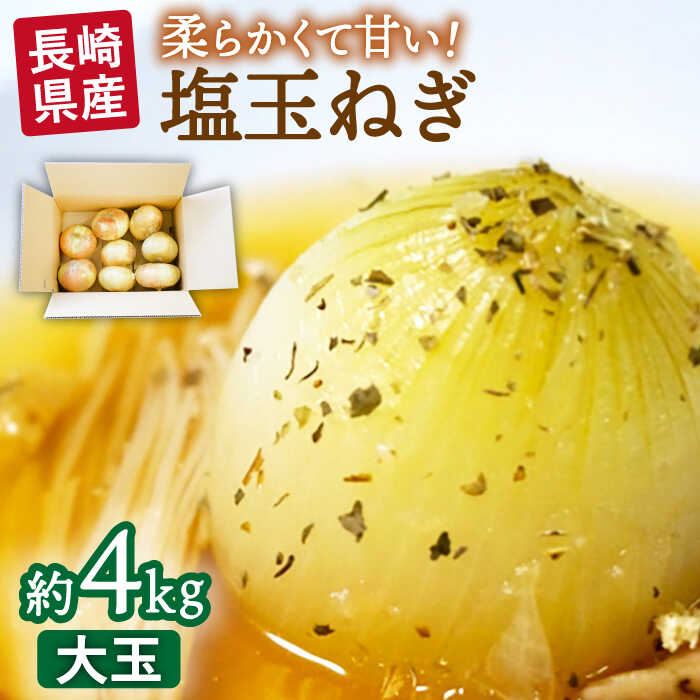【2026年3月中旬〜発送】【柔らかくて甘い！】塩玉ねぎ 約4kg（大玉）/ 新たまねぎ 新玉ねぎ 新タマネギ 玉ネギ 玉ねぎ たまねぎ タマネギ / 南島原市 / 長崎県農産品流通合同会社 [SCB055]