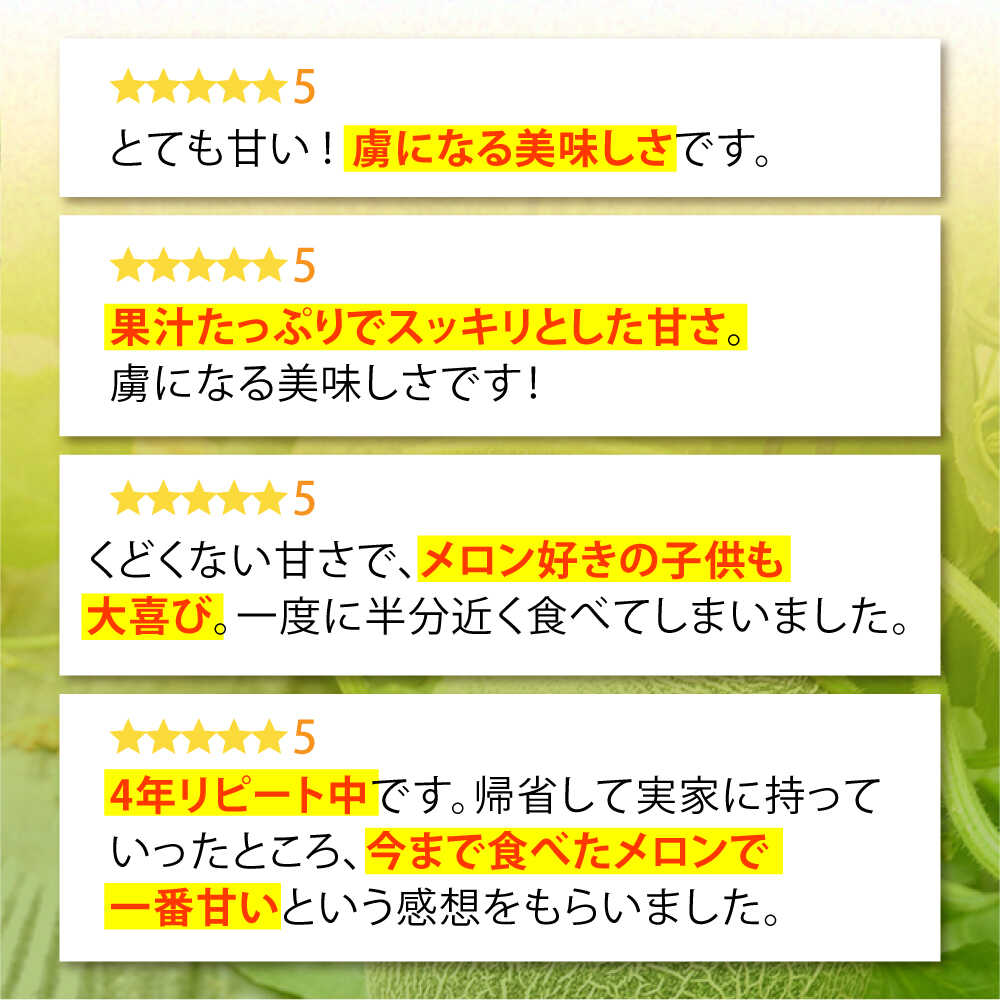 【ふるさと納税】【2026年6月中旬〜発送】肥後 グリーンメロン 大玉 2玉 (合計4kg以上) / メロン めろん フルーツ 果物 / 南島原市 / 長崎県農産品流通合同会社 [SCB063] サムネイル3