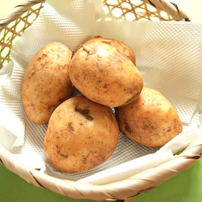 【ふるさと納税】【2026年5月下旬〜発送】【先行予約！】春の万能野菜セット 約5kg / じゃがいも ジャガイモ たまねぎ 玉ねぎ タマネギ にんじん 人参 旬野菜 詰め合わせ / 南島原市 / 長崎県農産品流通合同会社 [SCB064] - 画像2