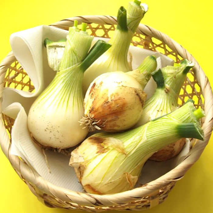 【ふるさと納税】【2026年5月下旬〜発送】【先行予約！】春の万能野菜セット 約5kg / じゃがいも ジャガイモ たまねぎ 玉ねぎ タマネギ にんじん 人参 旬野菜 詰め合わせ / 南島原市 / 長崎県農産品流通合同会社 [SCB064] - 画像3