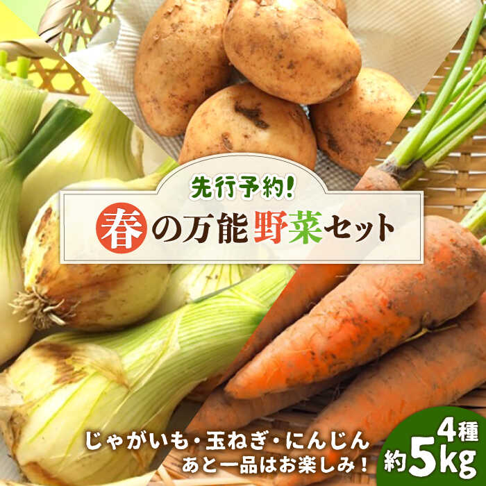 【2026年5月下旬〜発送】【先行予約！】春の万能野菜セット 約5kg / じゃがいも ジャガイモ たまねぎ 玉ねぎ タマネギ にんじん 人参 旬野菜 詰め合わせ / 南島原市 / 長崎県農産品流通合同会社 [SCB064]