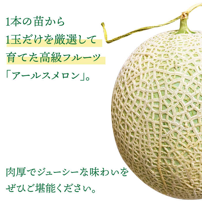 【ふるさと納税】【2025年11月中旬〜発送】【数量限定】 アールスメロン 2玉 / 3kg以上 高級 果物 フルーツ メロン マスクメロン めろん / 南島原市 / 長崎県農産品流通合同会社 [SCB074] サムネイル2