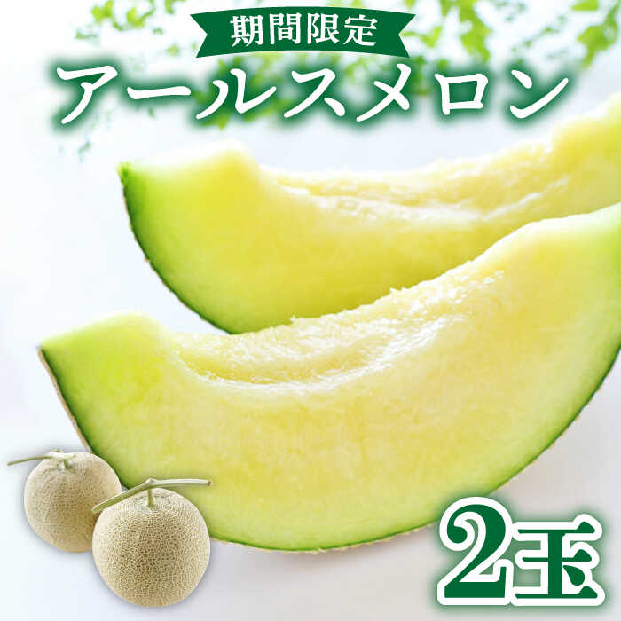【2025年11月中旬〜発送】【数量限定】 アールスメロン 2玉 / 3kg以上 高級 果物 フルーツ メロン マスクメロン めろん / 南島原市 / 長崎県農産品流通合同会社 [SCB074]