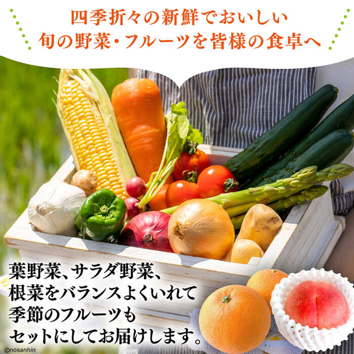 【ふるさと納税】【12回定期便】　「旬の野菜・フルーツ」 詰め合わせ セット（13品〜15品）/ 詰め合わせ 果物 定期便 野菜 野菜セット 新鮮 野菜詰め合わせ 旬野菜 やさい 旬 野菜定期便 春野菜 夏野菜 秋野菜 国産 新鮮野菜 / 南島原市 /長崎県農産品流通合同会社[SCB093] - 画像3