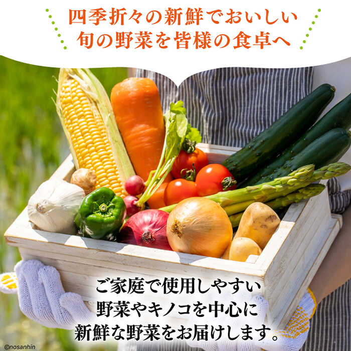 【ふるさと納税】旬の新鮮 野菜詰め合わせセット（10品～12品）/ 野菜 やさい 野菜セット やさいセット 春野菜 夏野菜 秋野菜 冬野菜 旬新鮮 / 南島原市 /長崎県農産品流通合同会社 [SCB094] - 画像3
