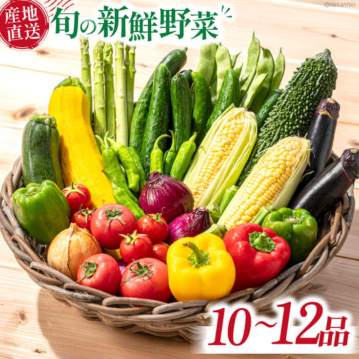 旬の新鮮 野菜詰め合わせセット（10品～12品）/ 野菜 やさい 野菜セット やさいセット 春野菜 夏野菜 秋野菜 冬野菜 旬新鮮 / 南島原市 /長崎県農産品流通合同会社 [SCB094]