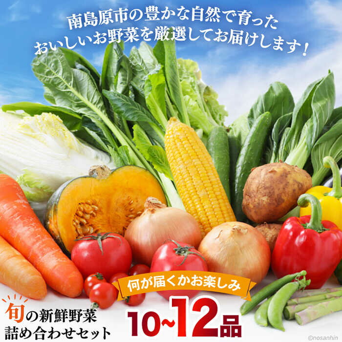 【ふるさと納税】【12回定期便】毎月連続お届け 旬の新鮮 野菜詰め合わせセット（10品～12品）/ 野菜定期便 やさい定期便 野菜セット やさいセット 春野菜 夏野菜 秋野菜 冬野菜 旬 新鮮 / 南島原市 /長崎県農産品流通合同会社 [SCB097] - 画像2