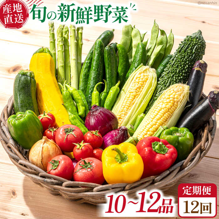 【12回定期便】毎月連続お届け 旬の新鮮 野菜詰め合わせセット（10品～12品）/ 野菜定期便 やさい定期便 野菜セット やさいセット 春野菜 夏野菜 秋野菜 冬野菜 旬 新鮮 / 南島原市 /長崎県農産品流通合同会社 [SCB097]