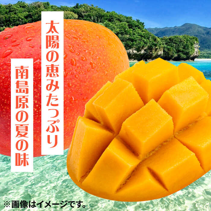 【ふるさと納税】【2026年7月〜発送】南島原産完熟マンゴー2玉 / 南島原市 / ながいけ[SCH064] サムネイル2