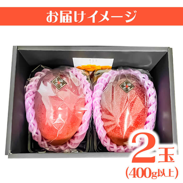 【ふるさと納税】【2026年7月〜発送】南島原産完熟マンゴー2玉 / 南島原市 / ながいけ[SCH064] サムネイル3