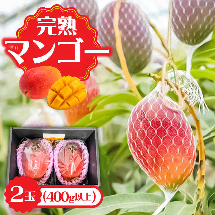 【2026年7月〜発送】南島原産完熟マンゴー2玉 / 南島原市 / ながいけ[SCH064]