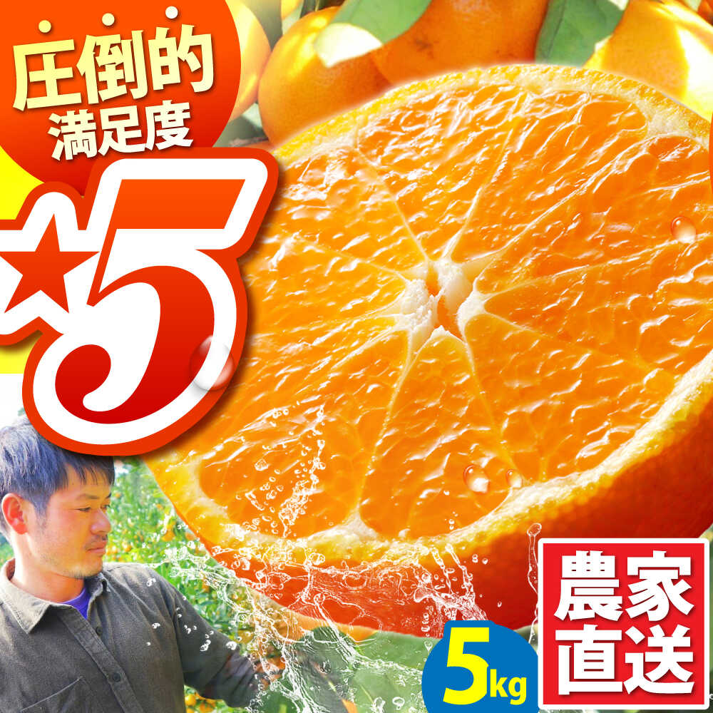 【2025年10月下旬〜発送】温州みかん 5kg / みかん ミカン 蜜柑 フルーツ 甘い 果物 / 南島原市 / 蜜柑屋まつお [SCQ001]