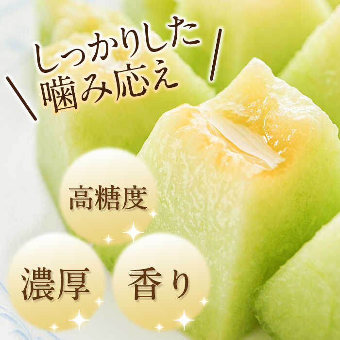 【ふるさと納税】【2026年5月〜発送】【さわやかな味！ 】タカミメロン 1玉 （約1kg） / メロン 南島原市 / 南島原果物屋 [SCV005] サムネイル2