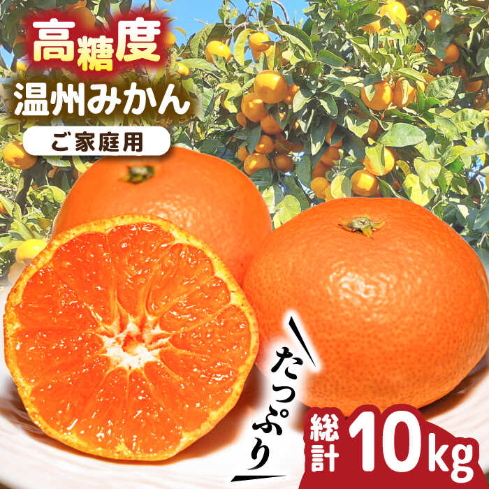 【2025年11月下旬〜発送】【高糖度】 温州みかん 約10kg / みかん ミカン 蜜柑 長崎県産みかん 糖度 果物 くだもの フルーツ ふるーつ 旬 家庭用 10kg / 南島原市 / 南島原果物屋 [SCV012]