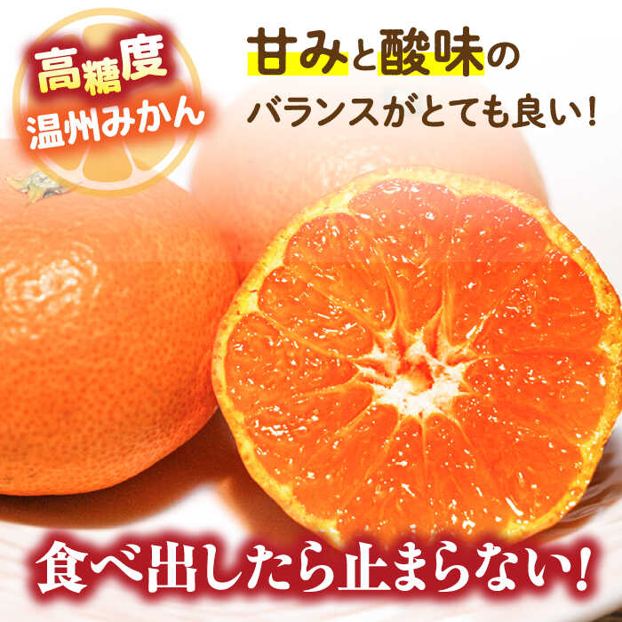 【ふるさと納税】【2025年11月下旬〜発送】【高糖度】 温州みかん 約5kg（傷もの） / みかん 訳あり ミカン 蜜柑 長崎県産みかん 糖度 果物 くだもの フルーツ ふるーつ 旬 家庭用 5kg / 南島原市 / 南島原果物屋 [SCV014] サムネイル2