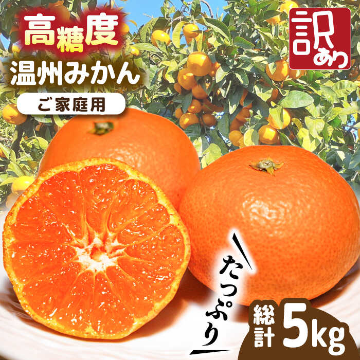 【2025年11月下旬〜発送】【高糖度】 温州みかん 約5kg（傷もの） / みかん 訳あり ミカン 蜜柑 長崎県産みかん 糖度 果物 くだもの フルーツ ふるーつ 旬 家庭用 5kg / 南島原市 / 南島原果物屋 [SCV014]