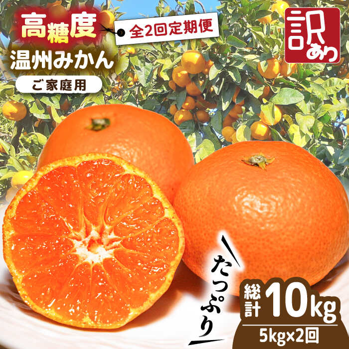 【2025年12月〜発送】【訳あり 2回 定期便 】 温州みかん 約5kg（傷もの） / みかん 訳アリ 定期便 ミカン 蜜柑 長崎県産みかん 糖度 果物 くだもの 果物定期便 フルーツ ふるーつ フルーツ定期便 旬 家庭用 5kg / 南島原市 / 南島原果物屋 [SCV018]