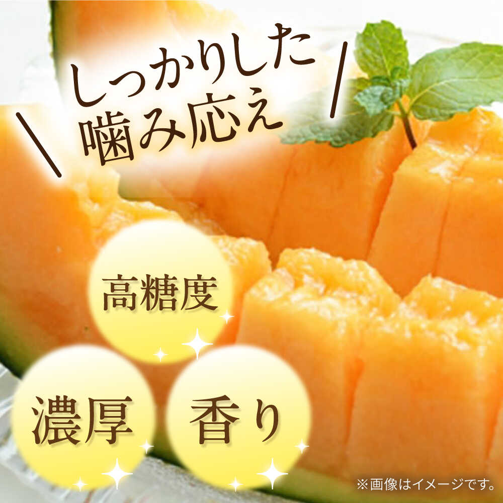 【ふるさと納税】【2026年5月〜発送】タカミメロン レッド 2玉 / メロン めろん フルーツ 果物 / 南島原市 / 南島原果物屋[SCV030] サムネイル2