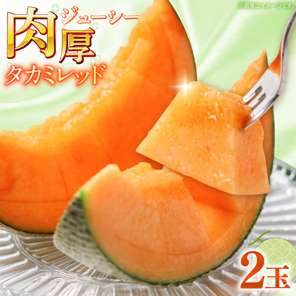 【2026年5月〜発送】タカミメロン レッド 2玉 / メロン めろん フルーツ 果物 / 南島原市 / 南島原果物屋[SCV030]