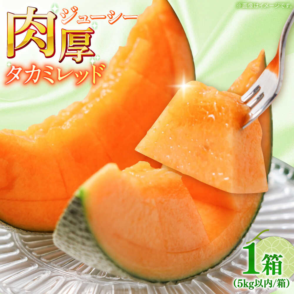 【2026年5月〜発送】タカミメロン レッド 1箱 5kg以内（3〜6玉） / メロン めろん フルーツ 果物 / 南島原市 / 南島原果物屋[SCV031]