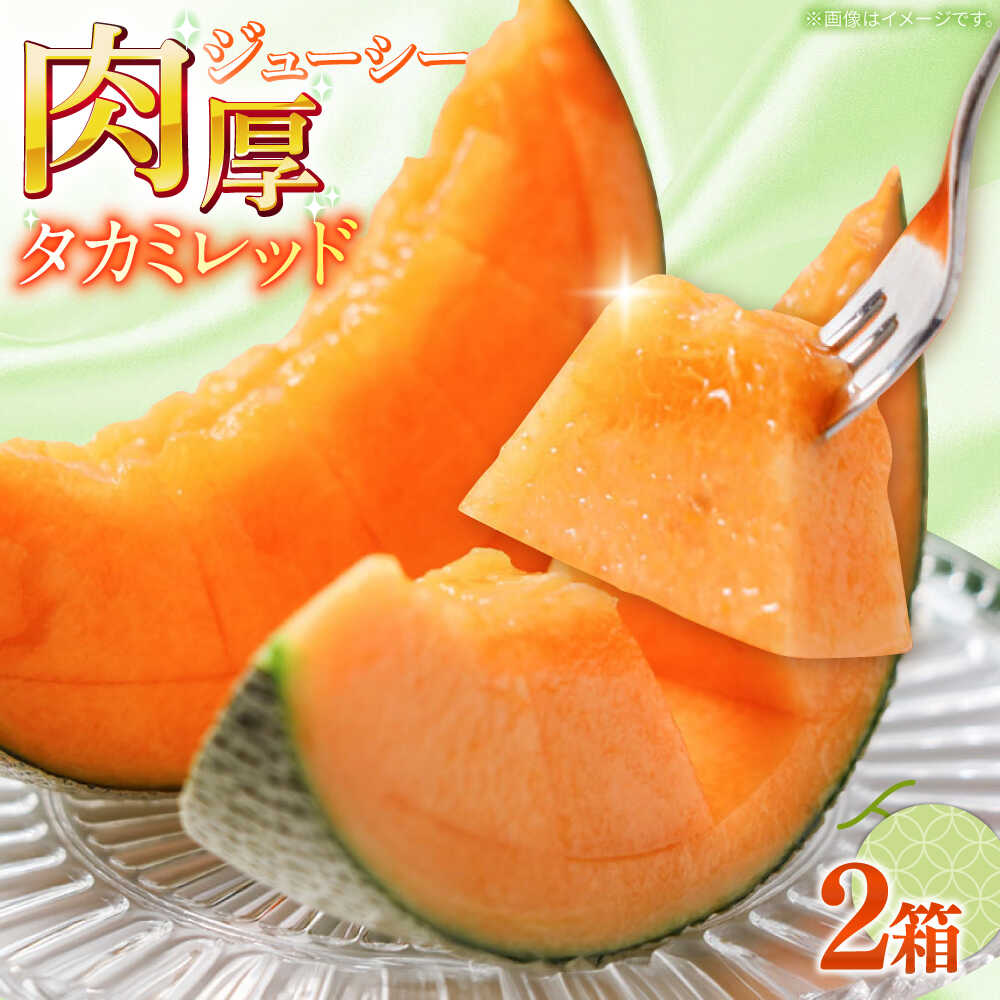 【2026年5月〜発送】タカミメロン レッド 2箱（1箱 3〜6玉） / メロン めろん フルーツ 果物 / 南島原市 / 南島原果物屋[SCV032]