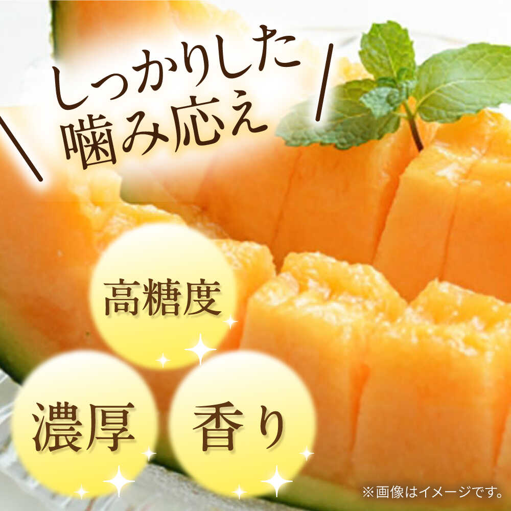 【ふるさと納税】【2026年5月〜発送】訳あり タカミメロン レッド 1玉 / メロン めろん フルーツ 果物 わけあり 訳あり 傷 / 南島原市 / 南島原果物屋[SCV034] サムネイル2