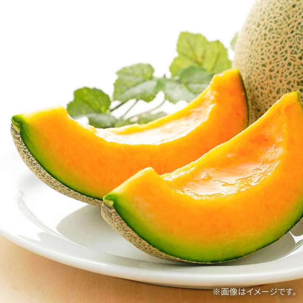 【ふるさと納税】【2026年5月〜発送】訳あり タカミメロン レッド 3箱（1箱 3〜6玉） / メロン めろん フルーツ 果物 わけあり 訳あり 傷 / 南島原市 / 南島原果物屋[SCV038] サムネイル3