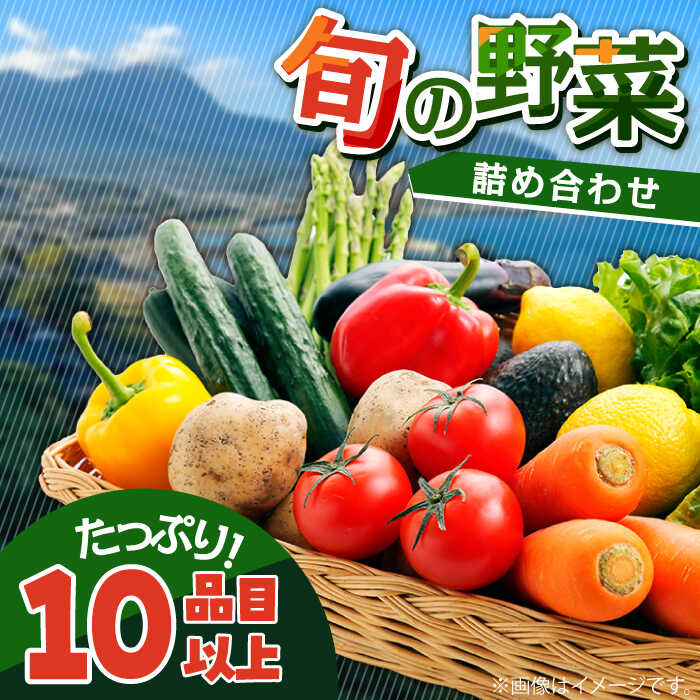 地元農家さんが収穫した旬のお野菜 10種詰め合わせ / 野菜 旬 新鮮 採れたて 季節野菜 旬野菜 農家直送 / 南島原市 / ミナサポ [SCW022]