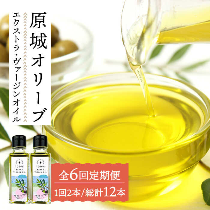 【6回 定期便 】原城オリーブ エクストラヴァージン オイル 100ml 2本 / 調味料 油 オリーブオイル オリーブ / 南島原市 / ミナサポ [SCW028]