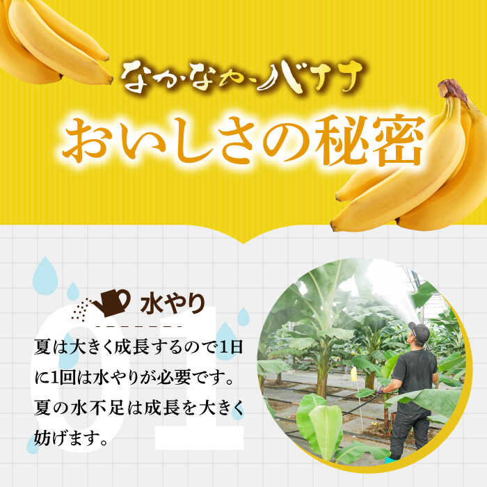 【ふるさと納税】【3回定期便】【皮ごと食べられる！】なかなかバナナ 5本〈7月〜9月は発送停止〉 / バナナ フルーツ 果物 定期便 フルーツ定期便 / 南島原市 / ミナサポ [SCW035] サムネイル3