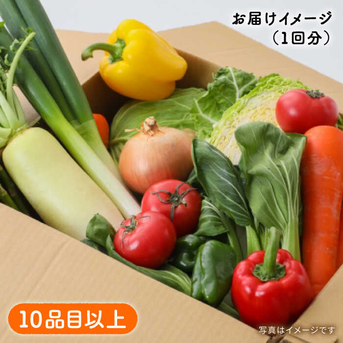 【ふるさと納税】【3回定期便】地元農家さんが収穫した旬のお野菜 10種詰め合わせ / 野菜 旬 新鮮 採れたて 季節野菜 旬野菜 農家直送 野菜定期便 定期便 / 南島原市 / ミナサポ [SCW045] - 画像3