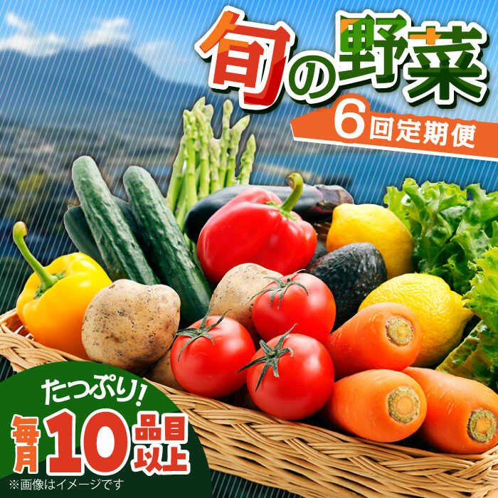 【6回定期便】地元農家さんが収穫した旬のお野菜 10種詰め合わせ / 野菜 旬 新鮮 採れたて 季節野菜 旬野菜 農家直送 野菜定期便 定期便 / 南島原市 / ミナサポ [SCW046]