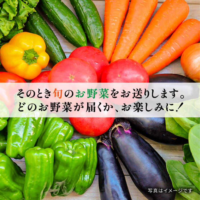 【ふるさと納税】【12回定期便】地元農家さんが収穫した旬のお野菜 10種詰め合わせ / 野菜 旬 新鮮 採れたて 季節野菜 旬野菜 農家直送 野菜定期便 定期便 / 南島原市 / ミナサポ [SCW047] - 画像2