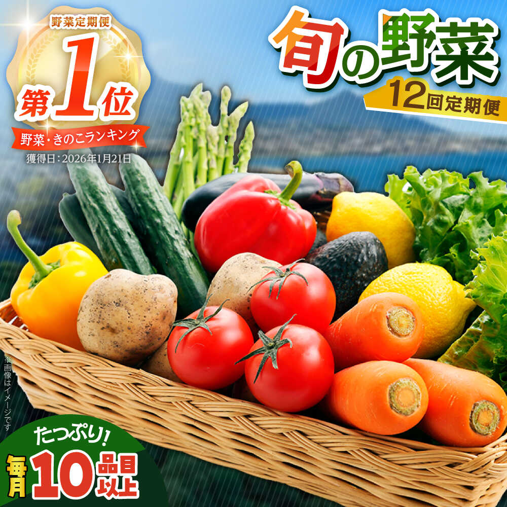 【12回定期便】地元農家さんが収穫した旬のお野菜 10種詰め合わせ / 野菜 旬 新鮮 採れたて 季節野菜 旬野菜 農家直送 野菜定期便 定期便 / 南島原市 / ミナサポ [SCW047]