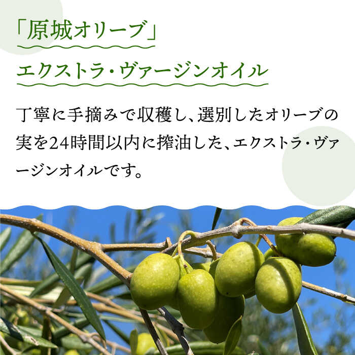 【ふるさと納税】【3回定期便】 原城 オリーブ エクストラ・ヴァージンオイル 100ml 1本 / オリーブオイル オイル 油 調味料 / 南島原市 / ミナサポ [SCW054] サムネイル2