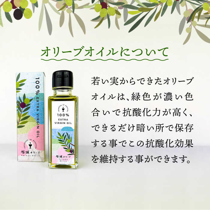 【ふるさと納税】【3回定期便】 原城 オリーブ エクストラ・ヴァージンオイル 100ml 1本 / オリーブオイル オイル 油 調味料 / 南島原市 / ミナサポ [SCW054] サムネイル3