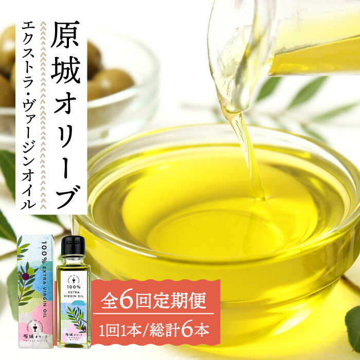 【6回定期便】 原城 オリーブ エクストラ・ヴァージンオイル 100ml 1本 / オリーブオイル オイル 油 調味料 / 南島原市 / ミナサポ [SCW055]