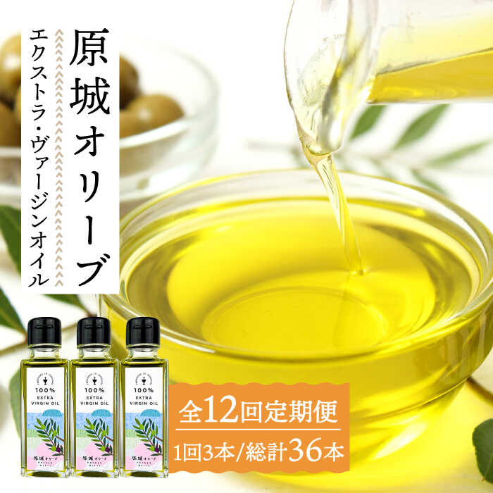 【12回定期便】 原城 オリーブエクストラ・ヴァージンオイル 100ml 3本 / オリーブオイル オリーブ オイル 油 調味料 料理 イタリアン 健康 / 南島原市 / ミナサポ [SCW059]