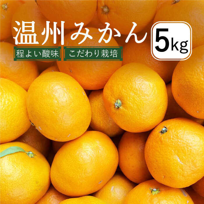 【2025年12月中旬〜発送】温州みかん 5kg (2S〜2L込) / みかん ミカン 蜜柑 柑橘 フルーツ 果物 / 南島原市 / 日野江 [SCY001]