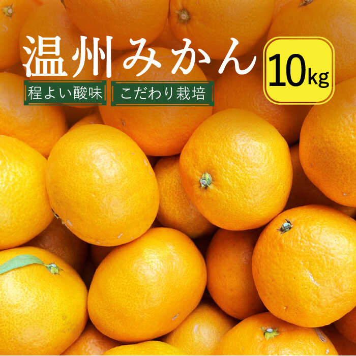 【2025年12月中旬〜発送】温州みかん 10kg (2S〜2L込) / みかん ミカン 蜜柑 柑橘 フルーツ 果物 / 南島原市 / 日野江 [SCY002]