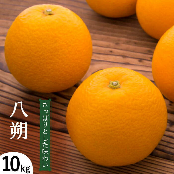 【2026年1月〜発送】八朔（10Kg）（L〜2L込） / はっさく ハッサク 八朔 みかん ミカン 蜜柑 柑橘 フルーツ 果物南 / 島原市 / 日野江 [SCY005]