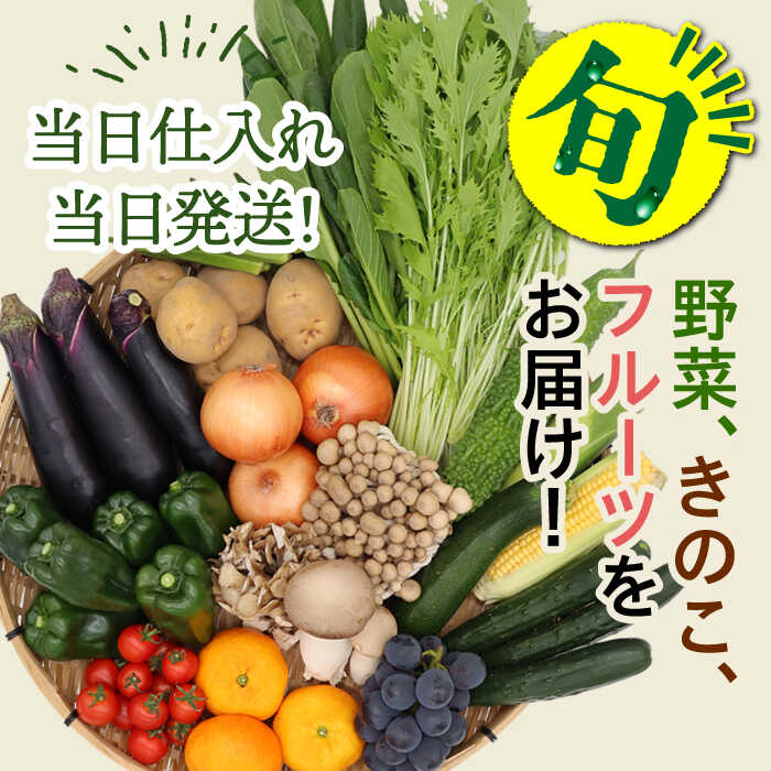 【ふるさと納税】野菜・フルーツ・キノコ詰め合わせ 15品目以上 / 野菜 やさい フルーツ ふるーつ 果物 くだもの きのこ キノコ 詰め合わせ セット / 南島原市 / 吉岡青果 [SCZ001] - 画像2
