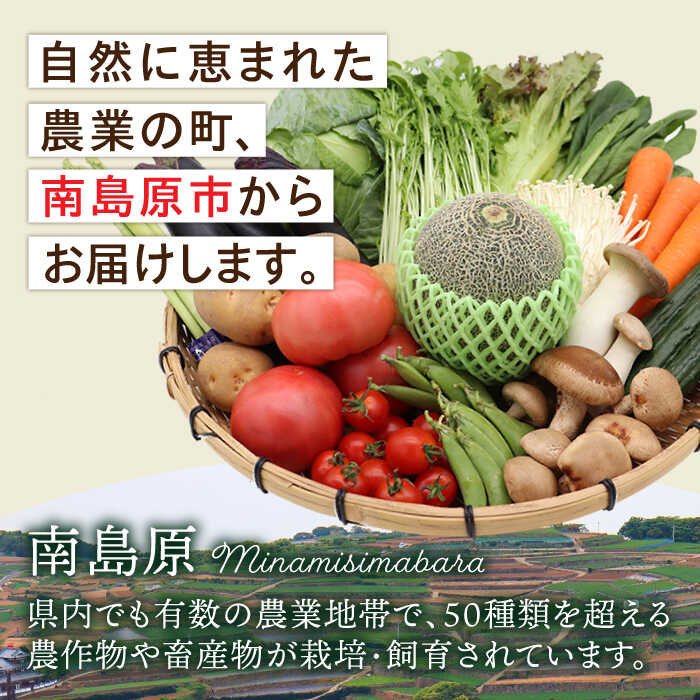 【ふるさと納税】野菜・フルーツ・キノコ詰め合わせ 15品目以上 / 野菜 やさい フルーツ ふるーつ 果物 くだもの きのこ キノコ 詰め合わせ セット / 南島原市 / 吉岡青果 [SCZ001] - 画像3