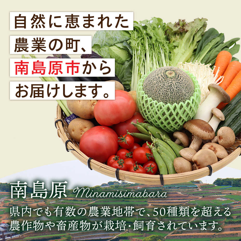 【ふるさと納税】【6回定期便 奇数月コース】野菜定期便 フルーツ・きのこをセット 15品目以上 / 定期便 野菜 やさい 春野菜 夏野菜 秋野菜 冬野菜 旬 / 南島原市 / 吉岡青果 [SCZ002] サムネイル3
