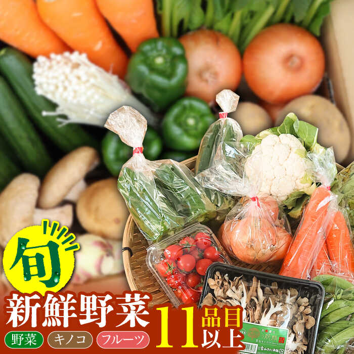 新鮮 野菜 キノコ 果物 11品目 詰め合わせ / 野菜 やさい きのこ キノコ 詰め合わせ セット / 吉岡青果 / 南島原市 [SCZ004]