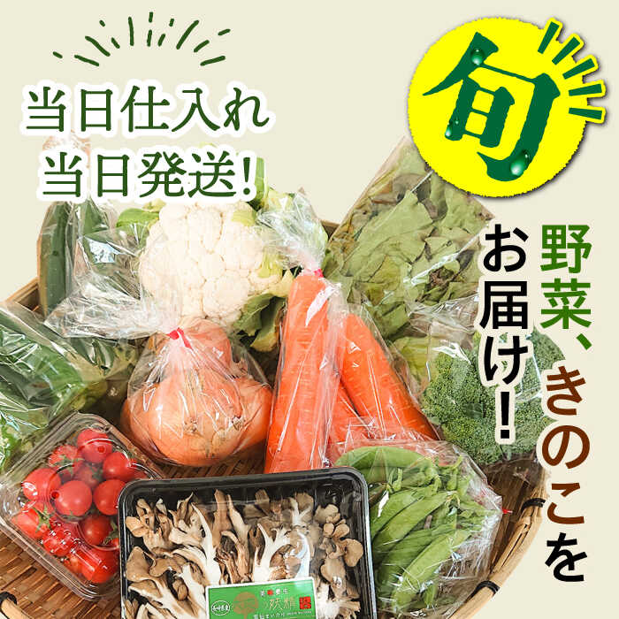【ふるさと納税】【6回定期便 奇数月コース】野菜 キノコ 果物 11品目 詰め合わせ / 野菜 春野菜 夏野菜 秋野菜 冬野菜 きのこ 旬 定期便 / 南島原市 / 吉岡青果 [SCZ005] - 画像2