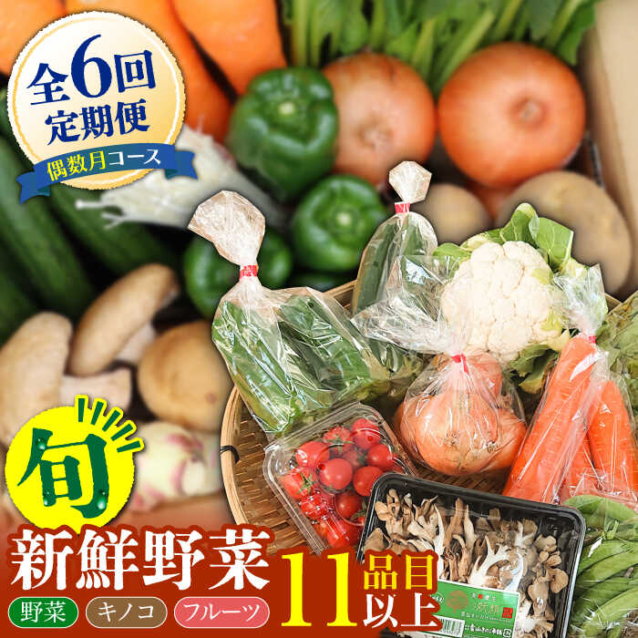 【6回定期便 偶数月コース】野菜 キノコ 果物 11品目 詰め合わせ 当日仕入れ当日発送！ / 定期便 野菜 春野菜 夏野菜 秋野菜 冬野菜 旬 きのこ キノコ 産地直送 / 南島原市 / 吉岡青果 [SCZ006]