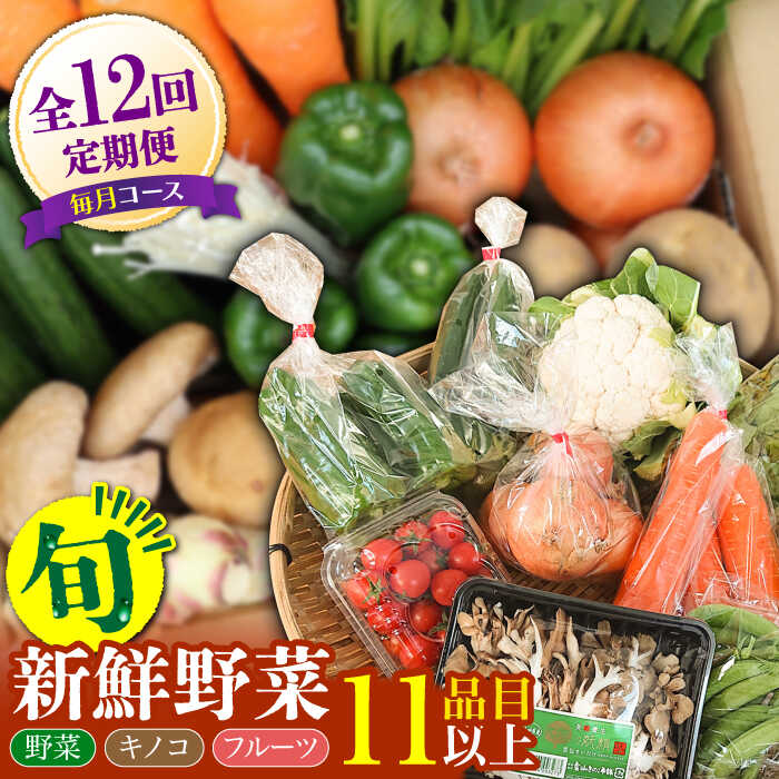 【12回定期便】野菜 キノコ 果物 11品目 詰め合わせ お届け 詰め合わせ 12回 / 定期便 野菜 やさい 春野菜 夏野菜 秋野菜 冬野菜 旬 / 南島原市 / 吉岡青果 [SCZ007]